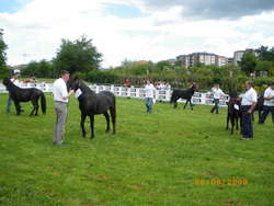 Participantes en concurso