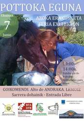 CARTEL POTTOKA EGUNA 2015