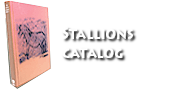 Stallions catalog